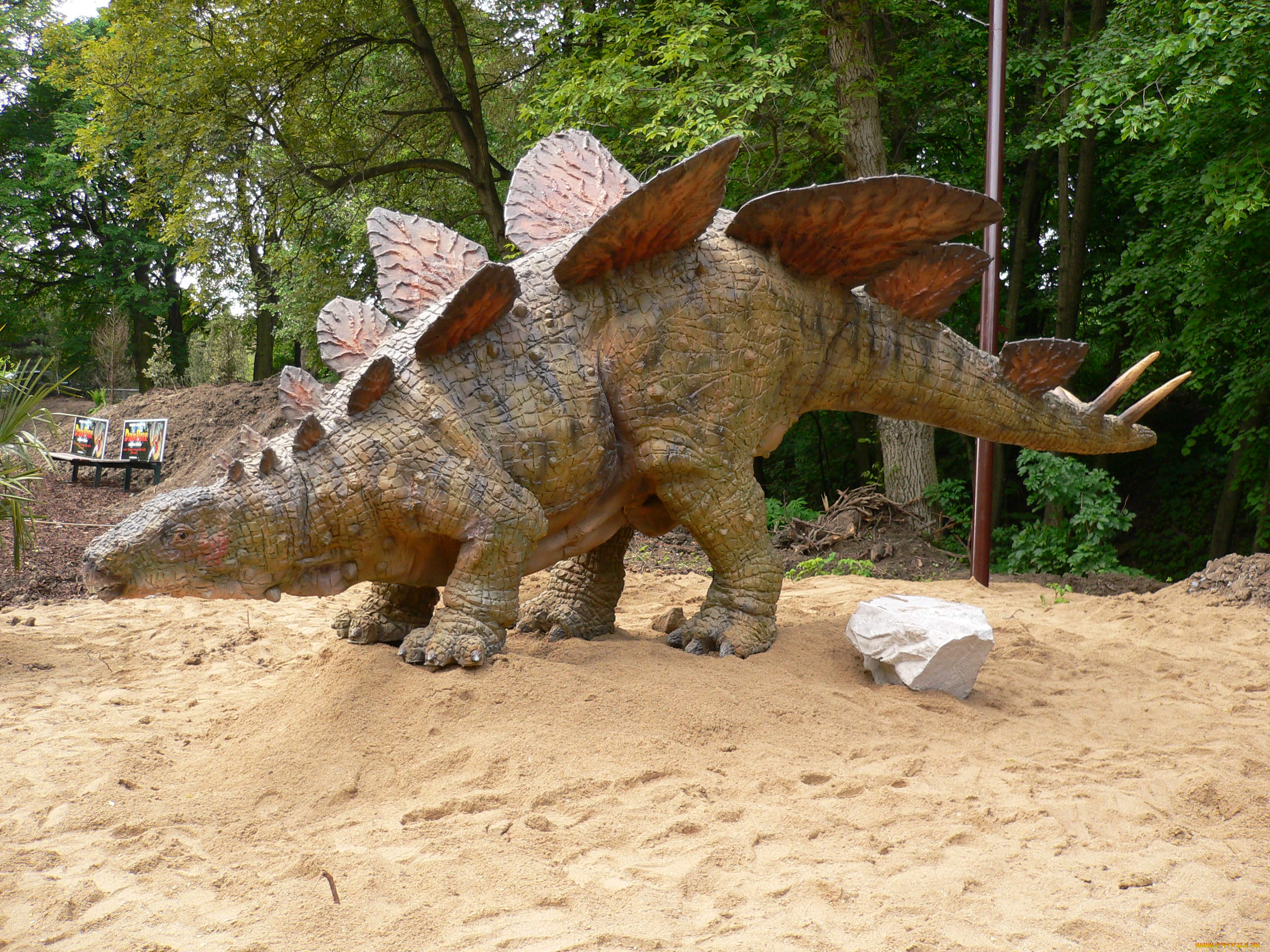 stegosaurus, , , , , , , , 